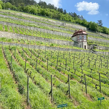 Daire Weinquartier Weingarten Loft Naumburg (Saale)