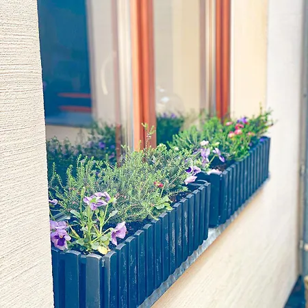 Weinquartier Weingarten Loft 70 Qm 2 Sz Altstadt Balkon Himmelbett Kueche Parkplatz Apartman