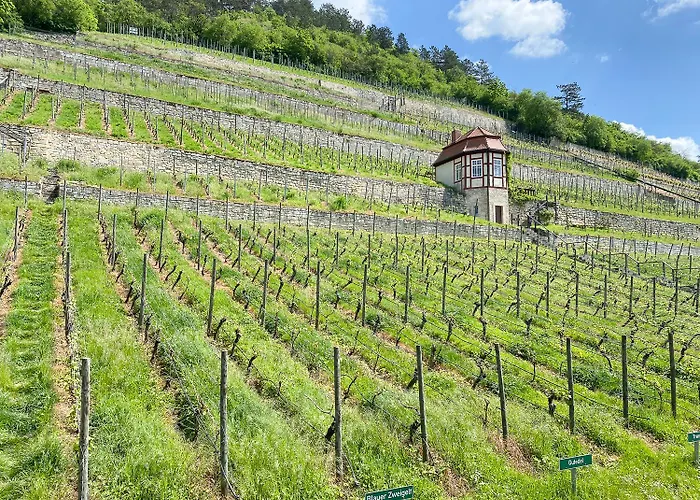 Apartman Weinquartier Weingarten Loft 70 Qm 2 Sz Altstadt Balkon Himmelbett Kueche Parkplatz Naumburg