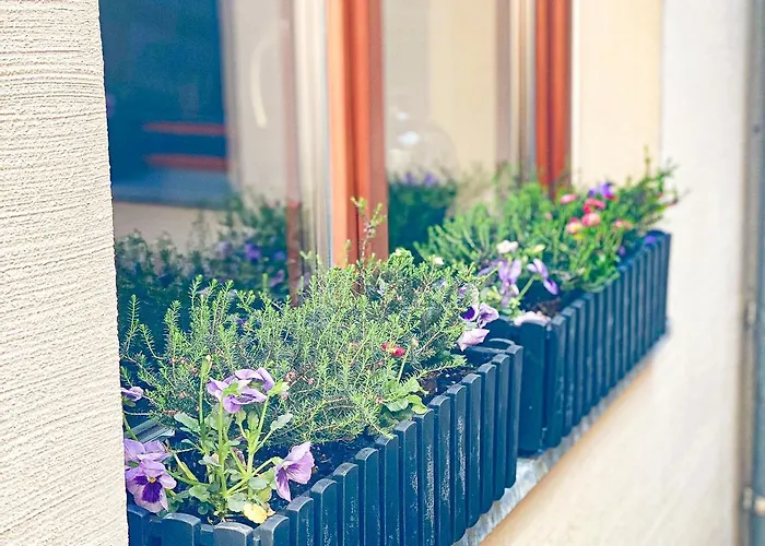 Weinquartier Weingarten Loft 70 Qm 2 Sz Altstadt Balkon Himmelbett Kueche Parkplatz Apartman